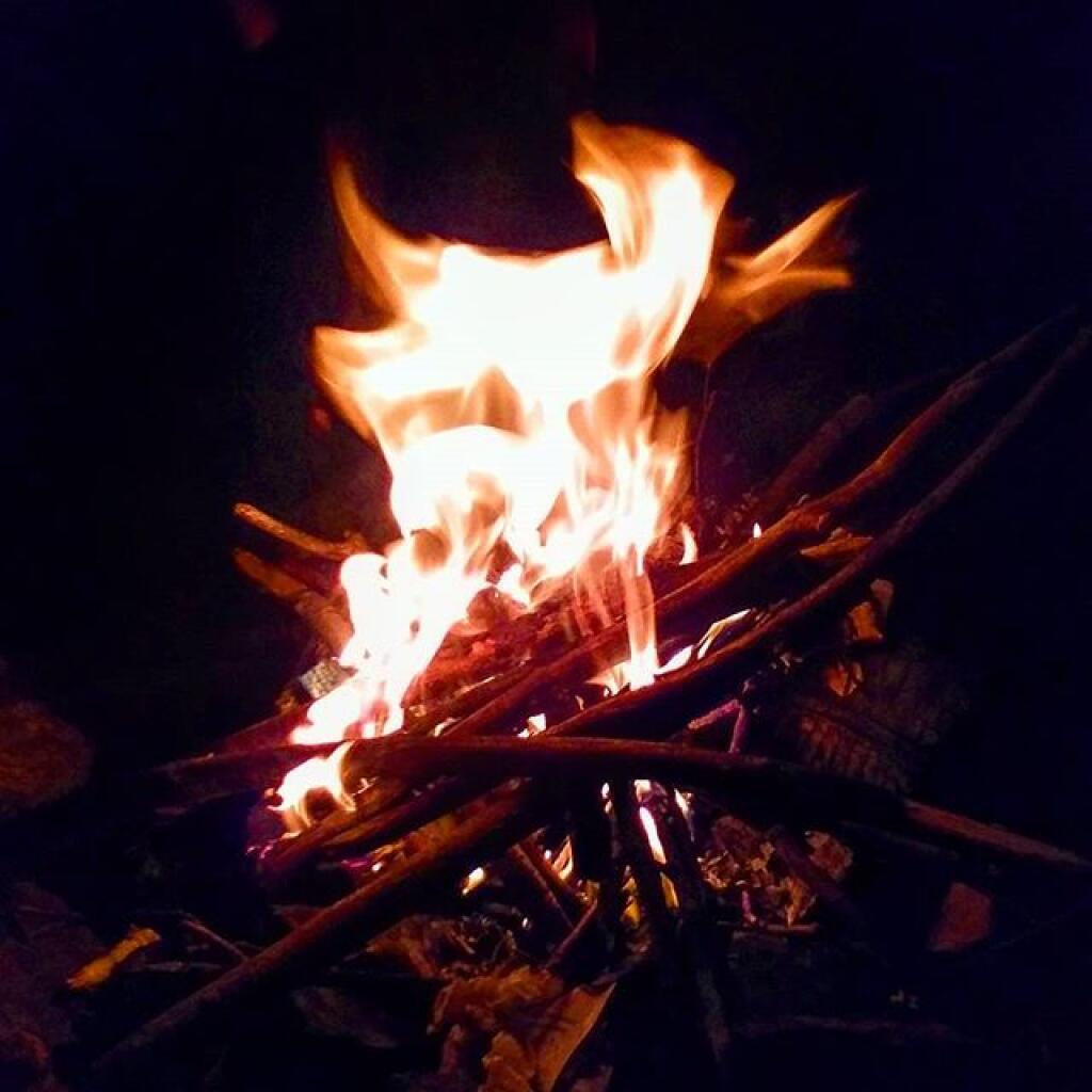 Photo: Despite the great flood most of my firewood remained dry Photo: Despite the great flood most of my firewood remained dry