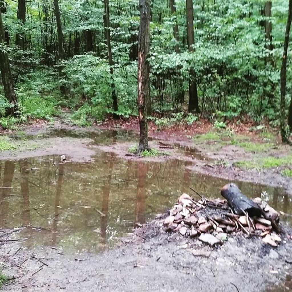 Photo: Moving to a less wet campsite