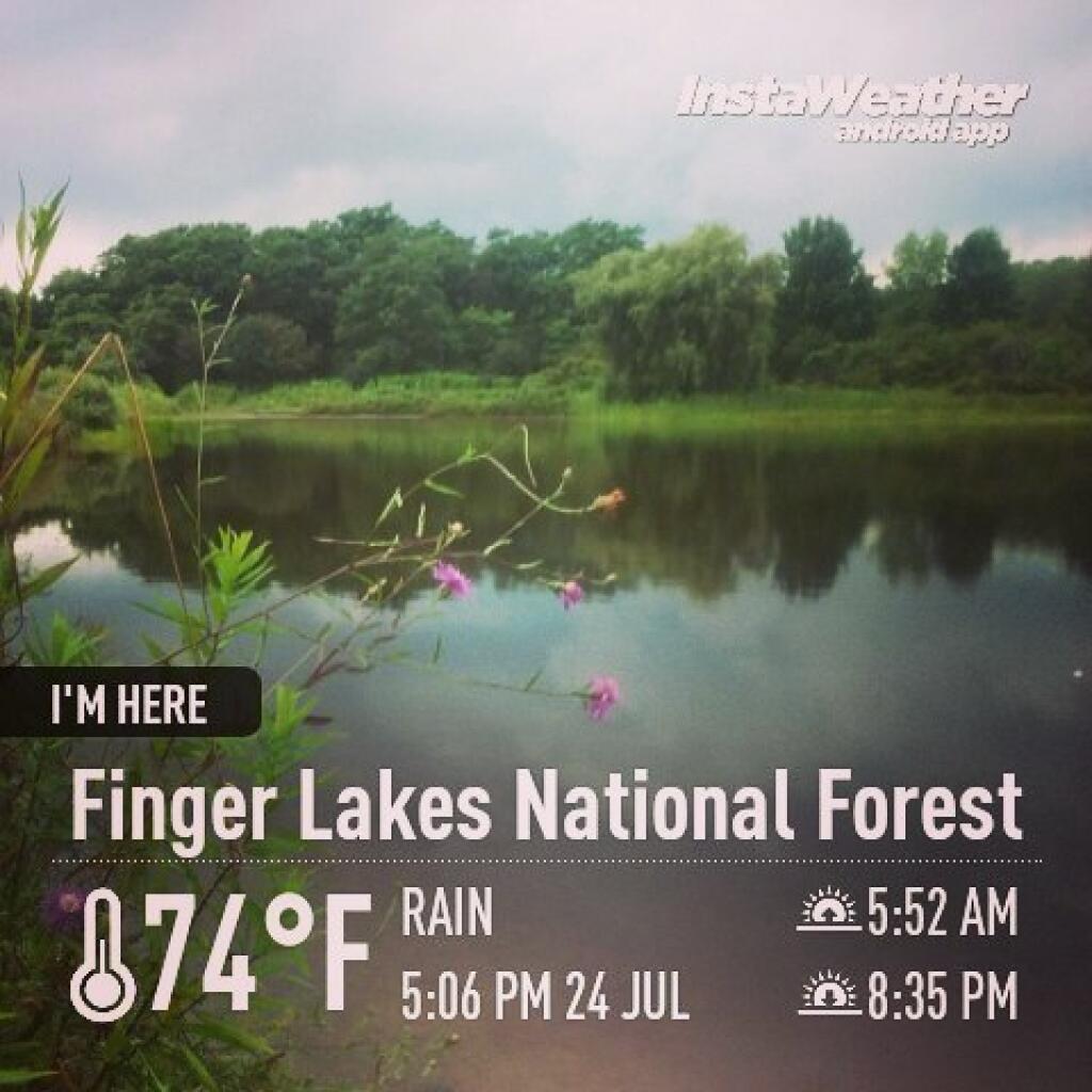 Photo: Rain and 74