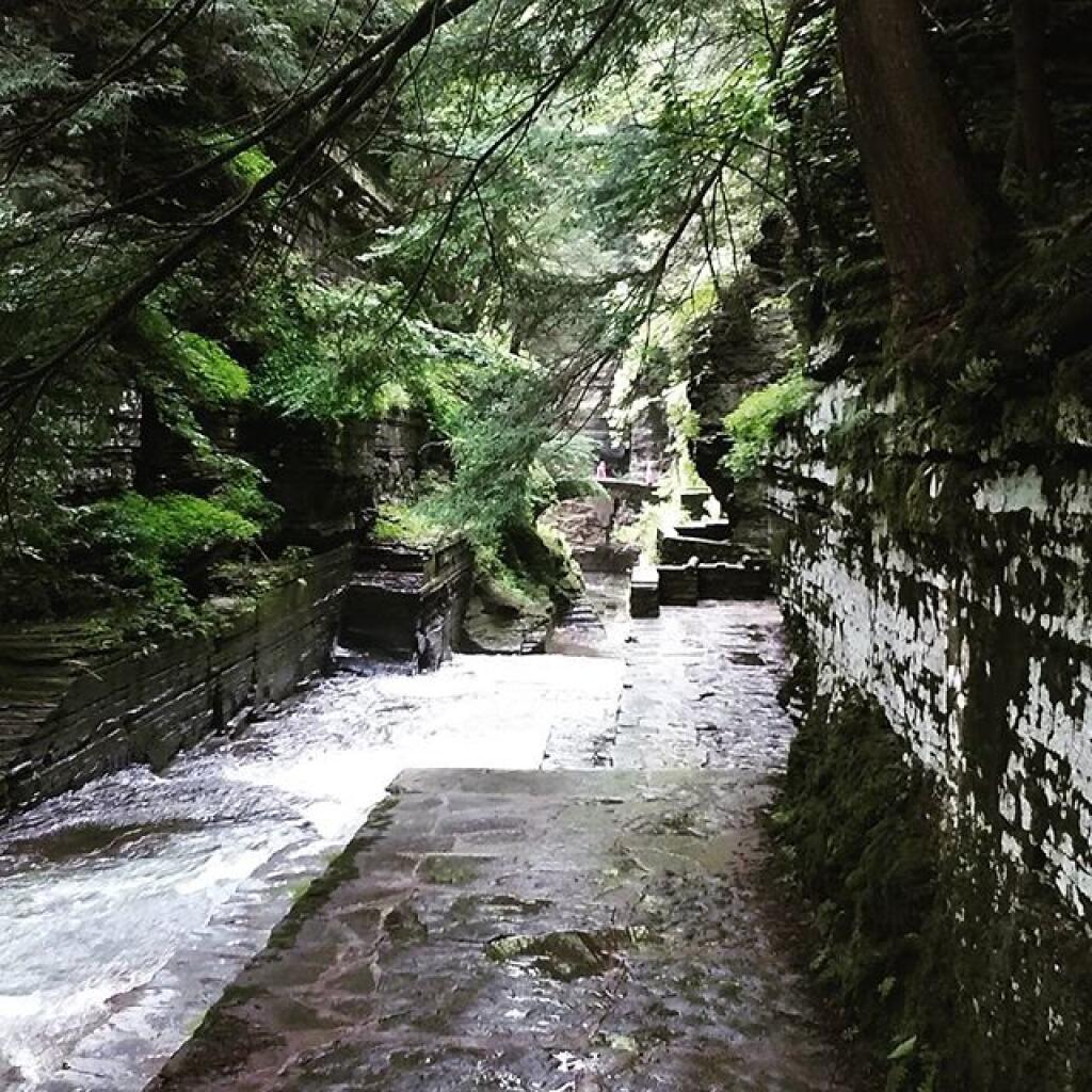 Photo: Enfield Glen Photo: Enfield Glen