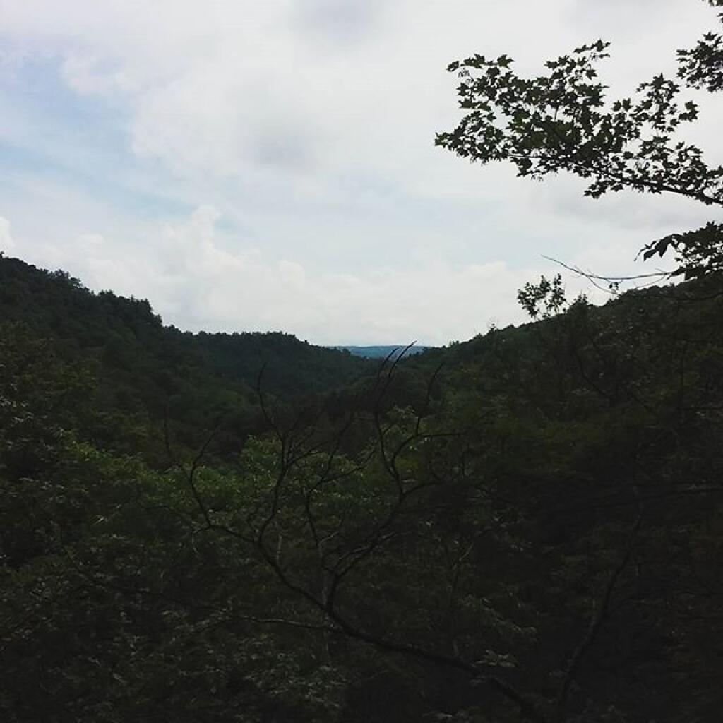 Photo: The Glen from the Great Staircase