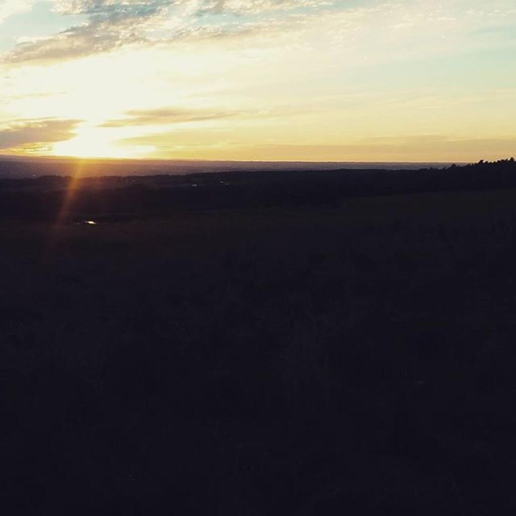 Photo: Evening sunset walk in Horton Pasture