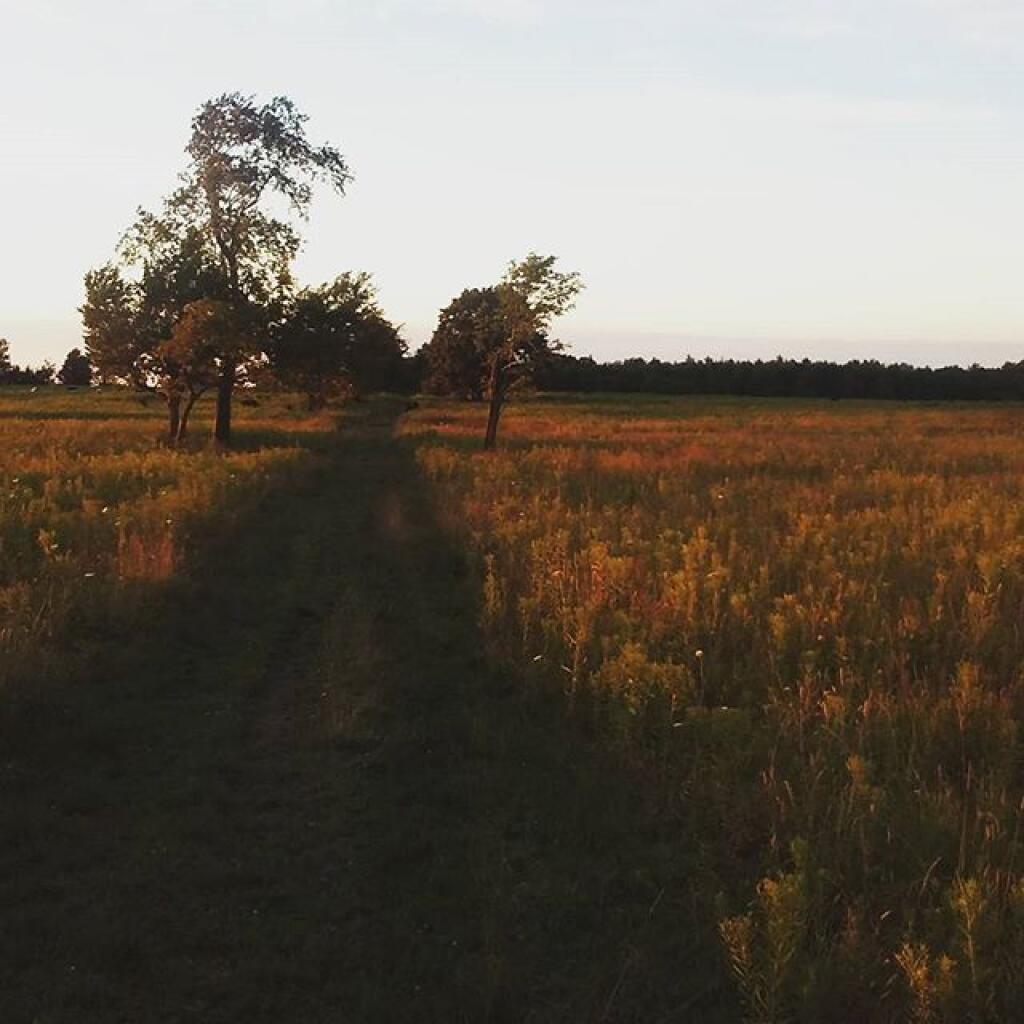 Photo: Interloken Trail Photo: Interloken Trail