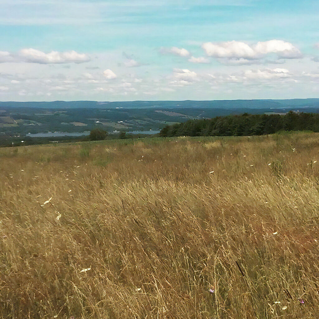 Photo: View from Tower Hill Road