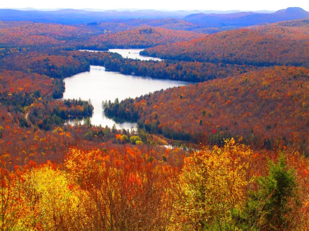 Photo: Mount Arab Lake