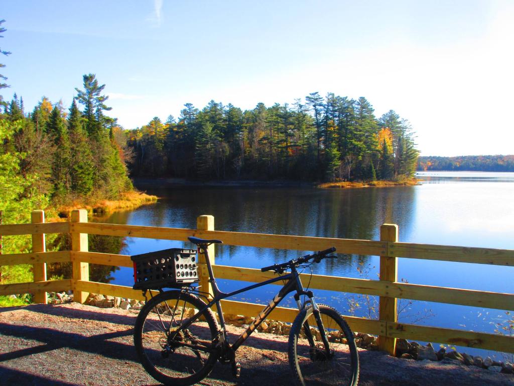 Photo: Beautiful Fall Morning Along Rollins Pond