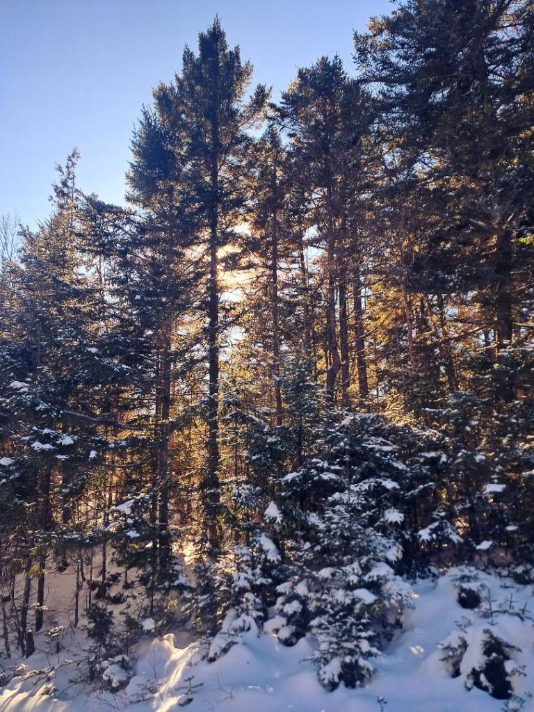 Photo: Amazing but Cold Afternoon Photo: Amazing but Cold Afternoon