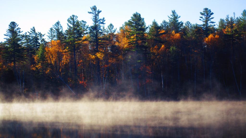Photo: Fog Rises Over Rollins Pond Photo: Fog Rises Over Rollins Pond