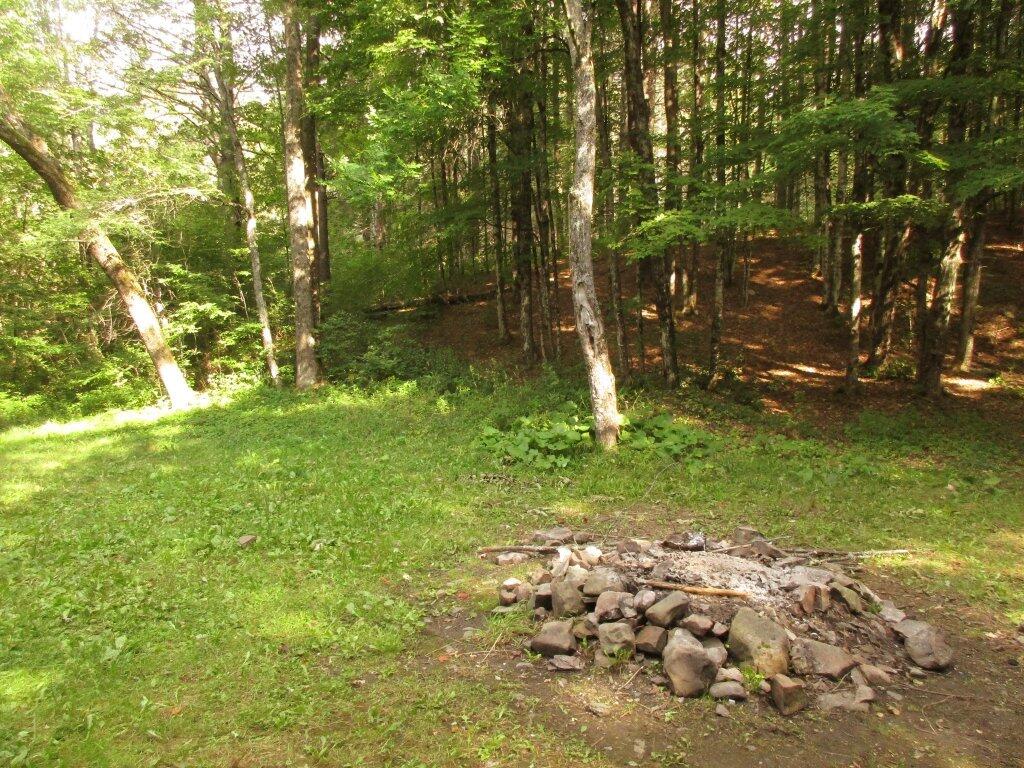 Photo: West Kill Site Is Pretty Nice