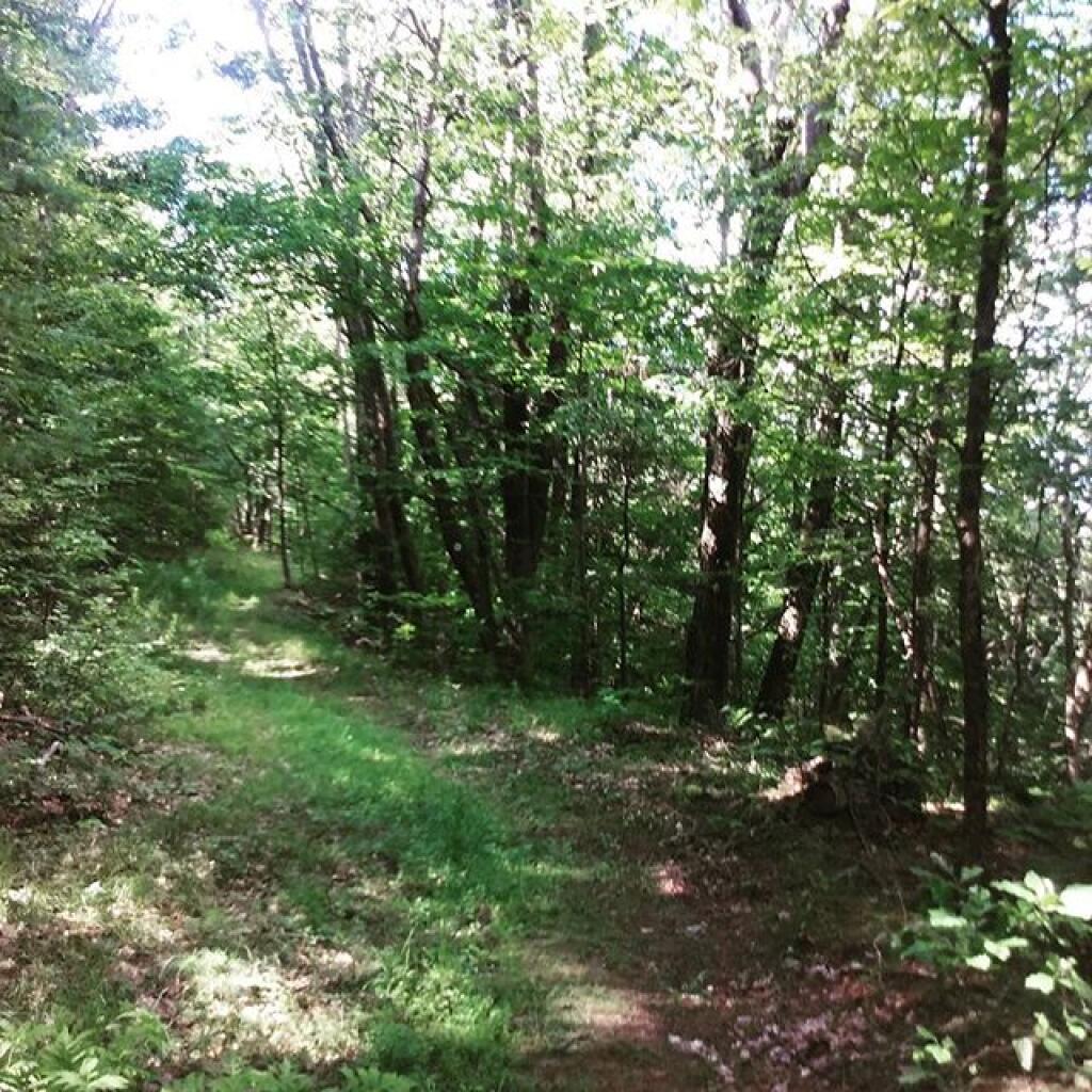 Photo: Ledge Trail