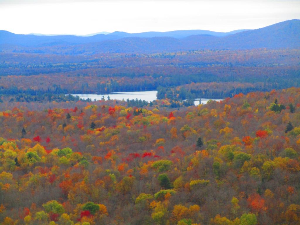 Photo: Wolf Pond from Floodwood Mountain Photo: Wolf Pond from Floodwood Mountain
