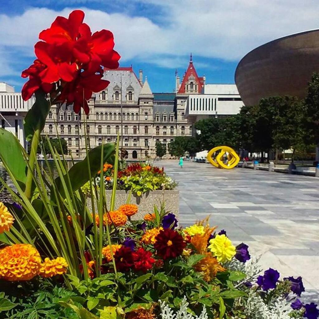 Photo: Summer in Albany