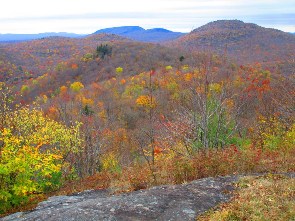 Photo: South West from Floodwood Mountain Photo: South West from Floodwood Mountain