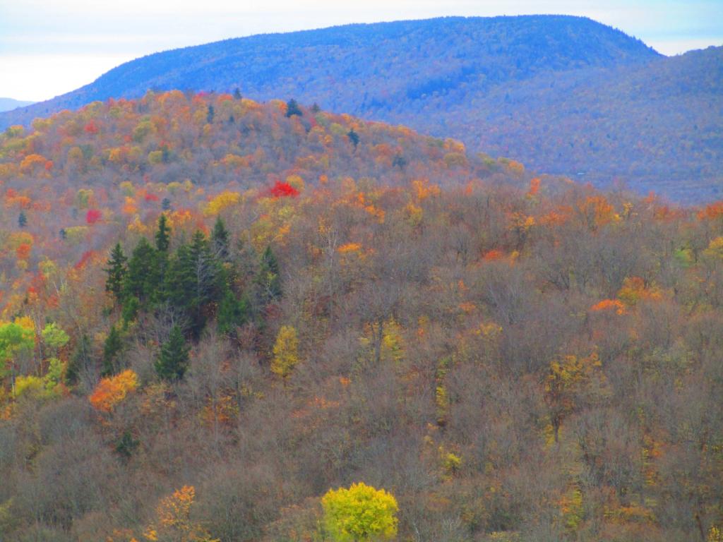 Photo: Iron Mountain Photo: Iron Mountain