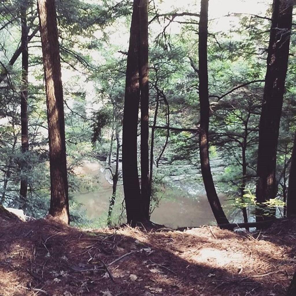 Photo: Glen Creek Photo: Glen Creek