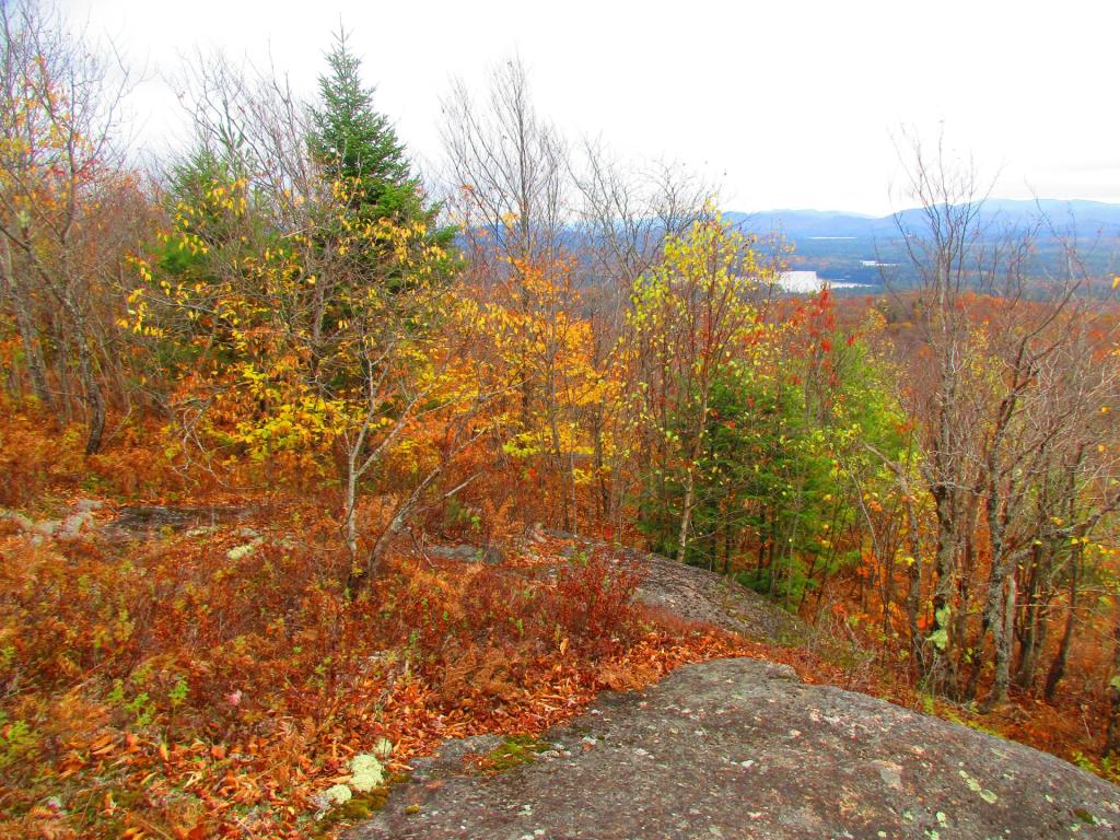 Photo: Summit of Floodwood Mountain Photo: Summit of Floodwood Mountain