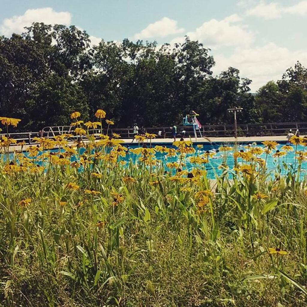 Photo: Summer