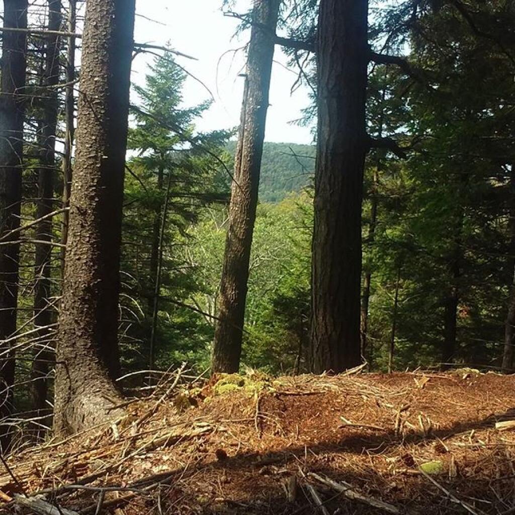 Photo: State Brook Mountain