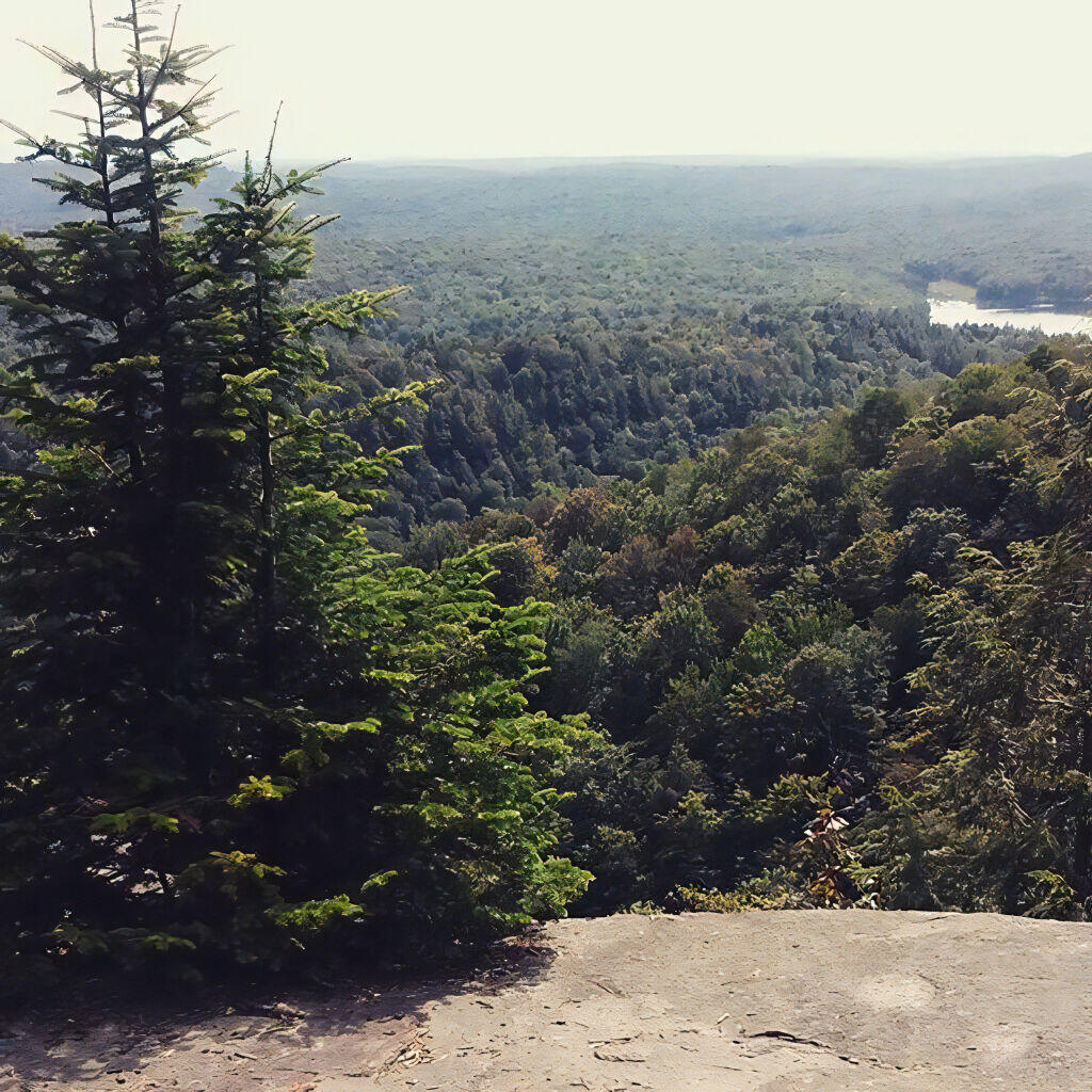 Photo: Pretty good valley down there