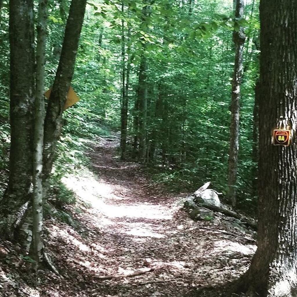 Photo: Edick Road Extension Trail