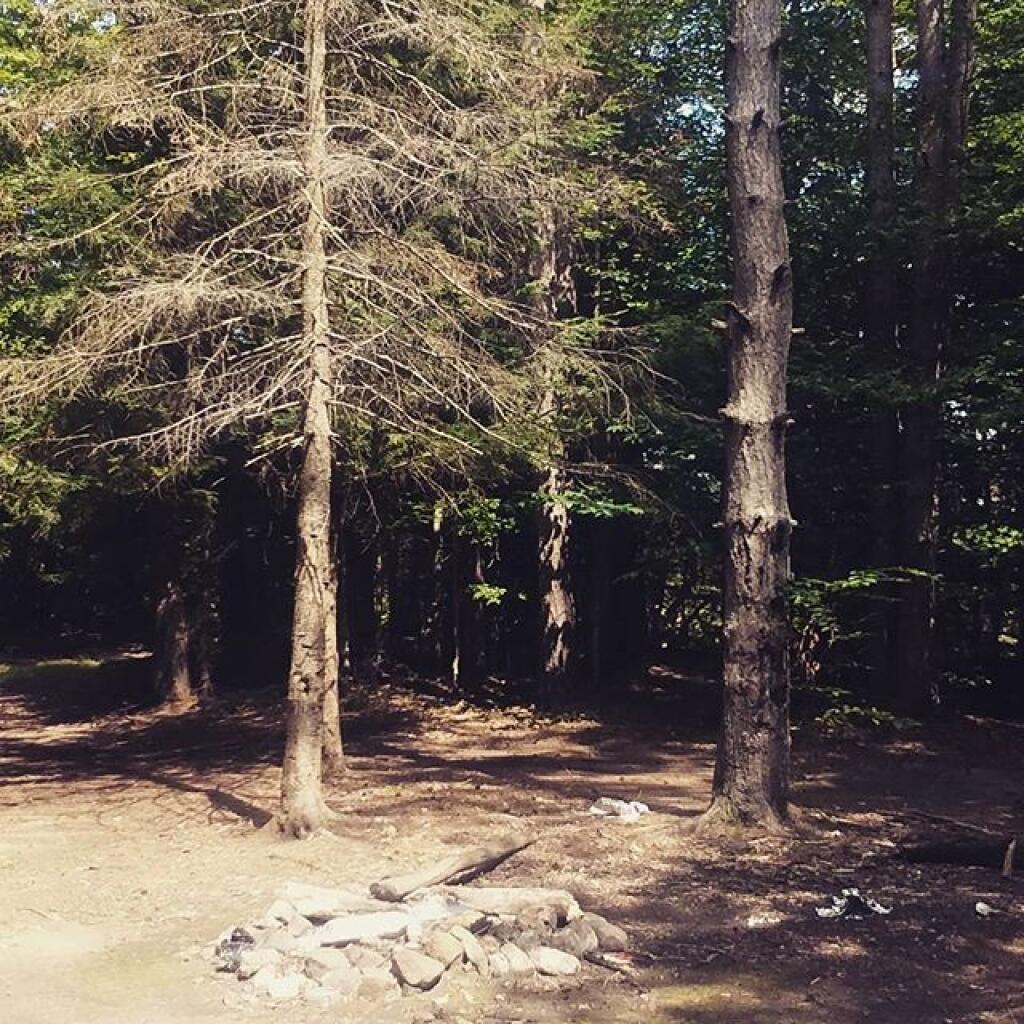 Photo: Very hidden campsite off of Edick Road