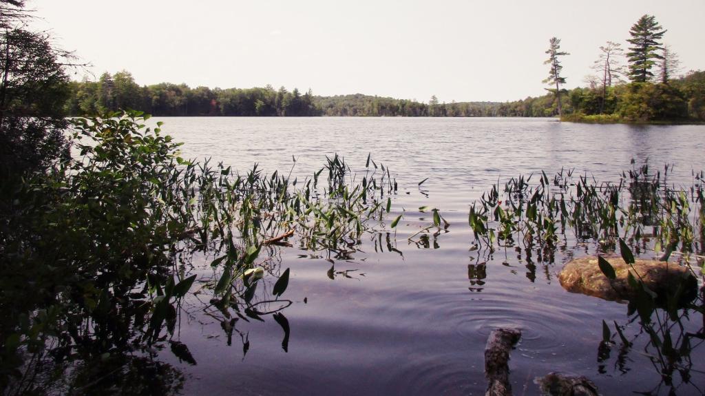 Photo: North across Spectacle Lake Photo: North across Spectacle Lake