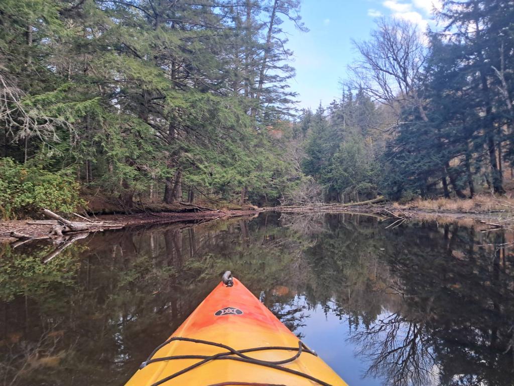 Photo: Quiet on Fish Creek