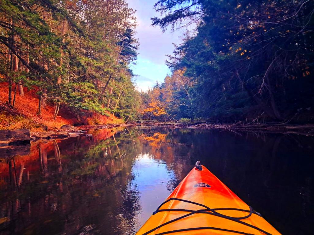 Photo: Paddling Along the Fish Creek