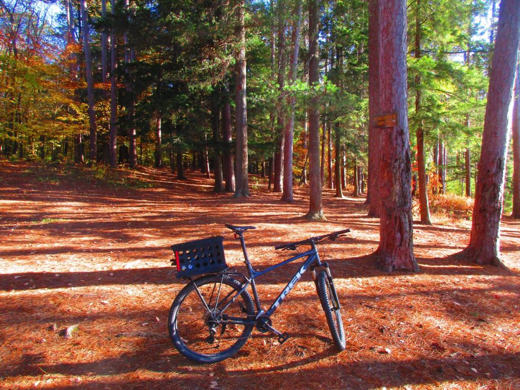 Photo: Exploring Little Green Pond Campsites Photo: Exploring Little Green Pond Campsites