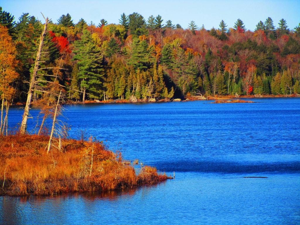 Photo: Little Clear Pond Photo: Little Clear Pond