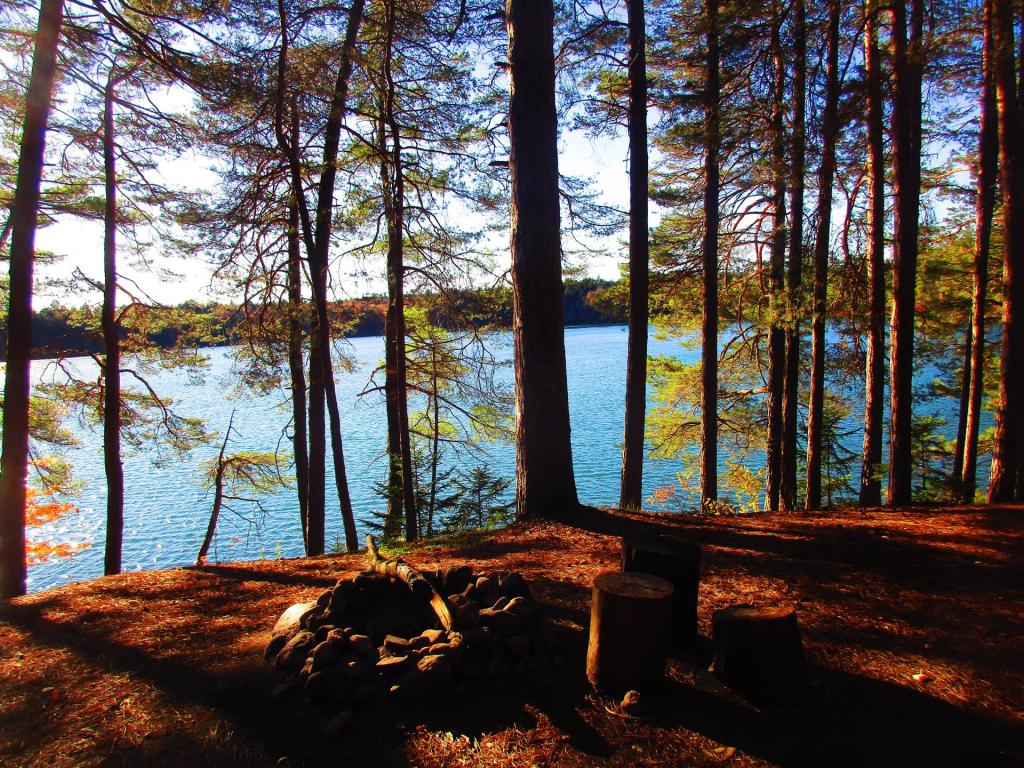 Photo: Campsite 5 on Little Green Pond Photo: Campsite 5 on Little Green Pond