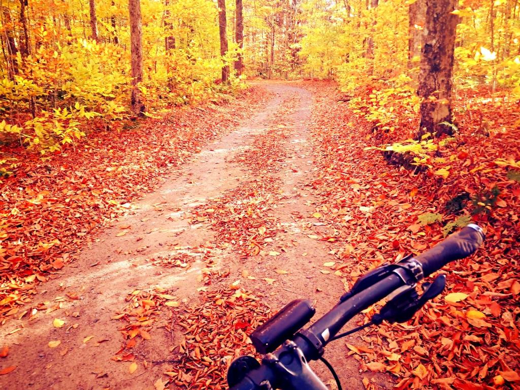 Photo: Little Green Pond Access Roads Photo: Little Green Pond Access Roads