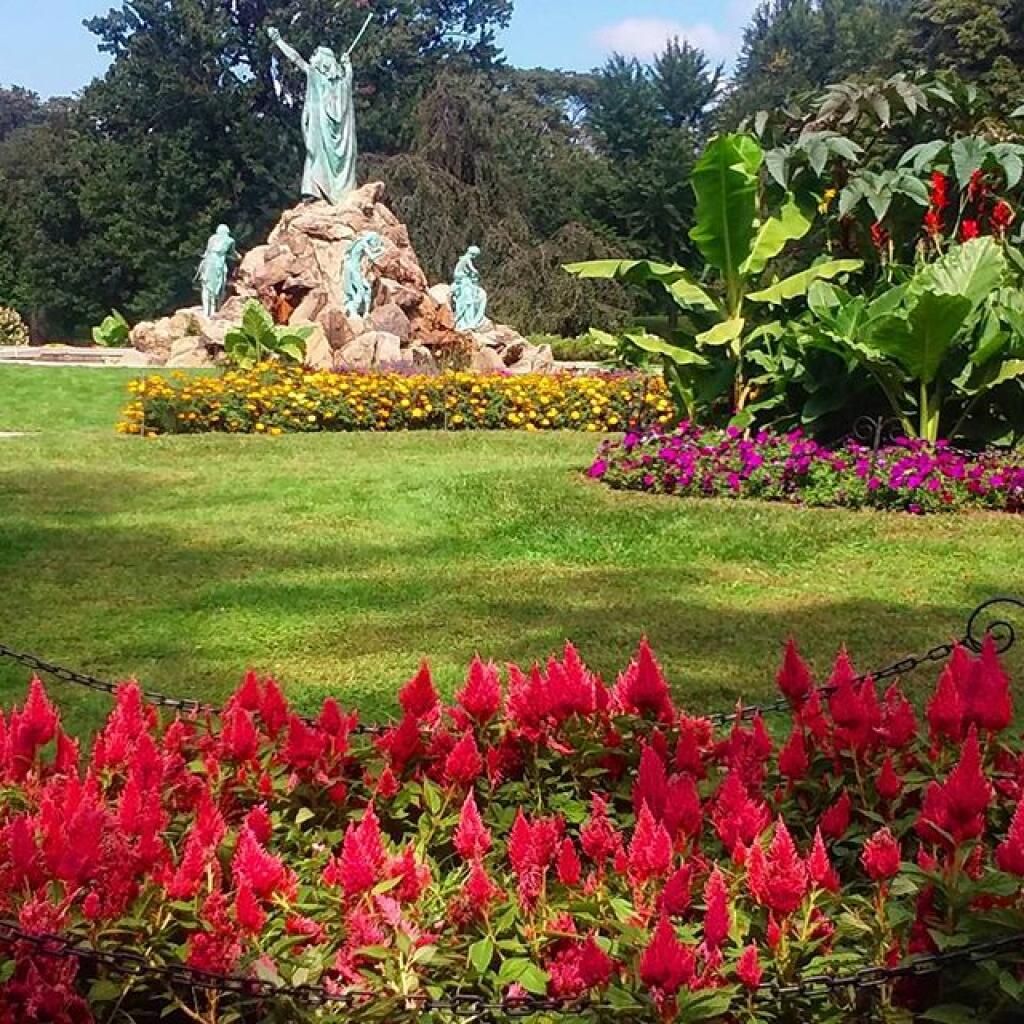 Photo: Tulip Beds Photo: Tulip Beds