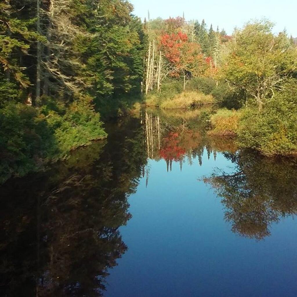 Photo: East Canada Creek Photo: East Canada Creek