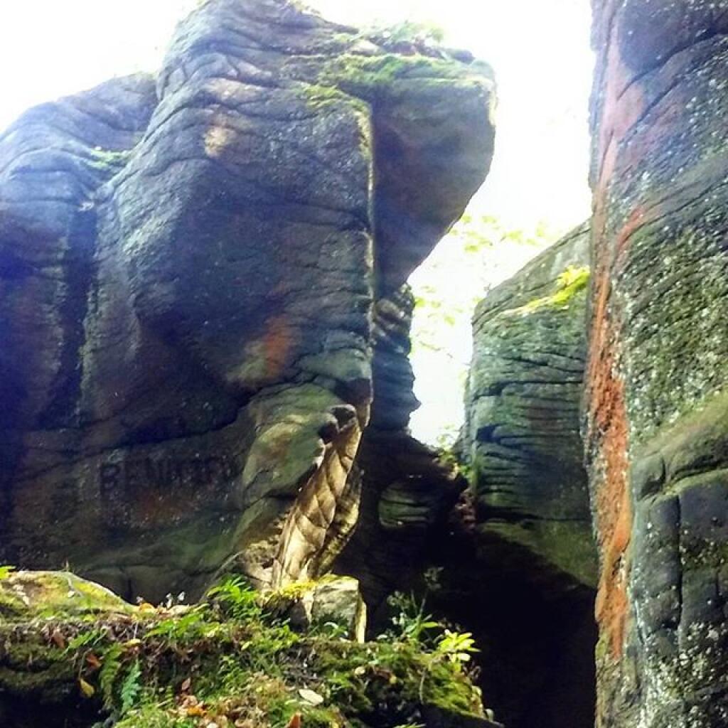 Photo: Light filters through
