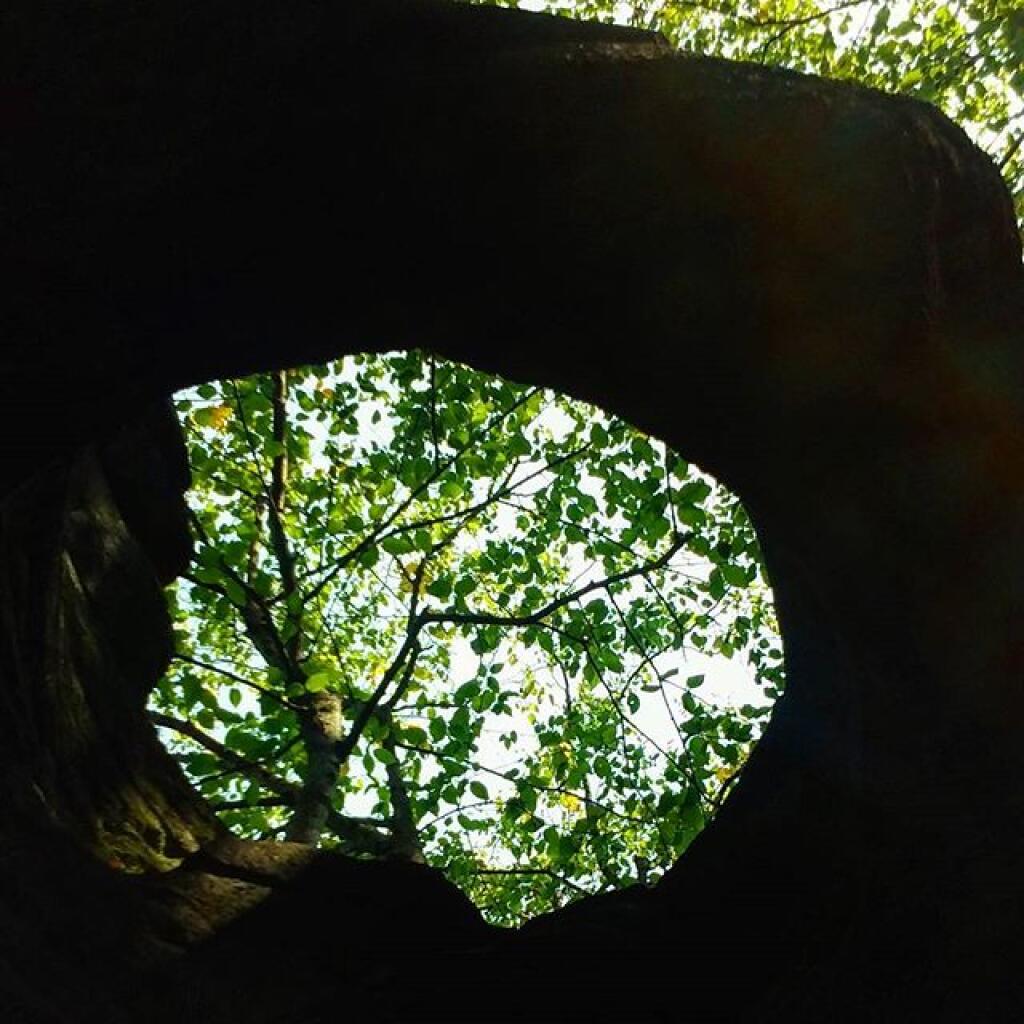 Photo: Hole