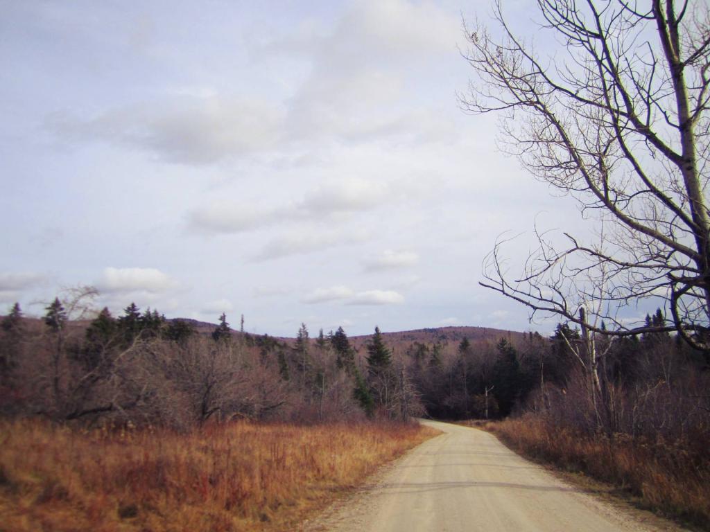 Photo: Forest Road 10 Winds Photo: Forest Road 10 Winds