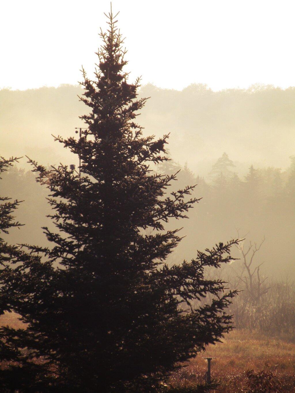 Photo: Morning At Powley Place Photo: Morning At Powley Place