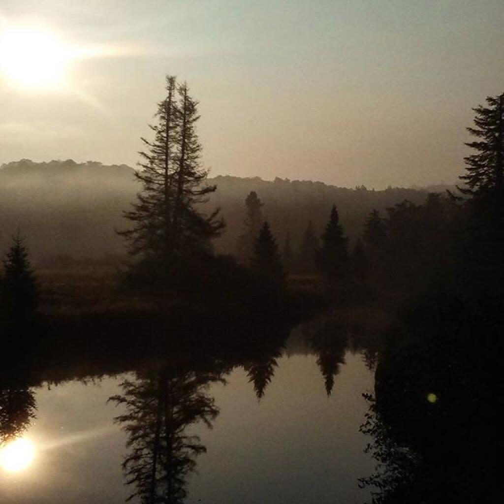 Photo: Foggy Start Photo: Foggy Start