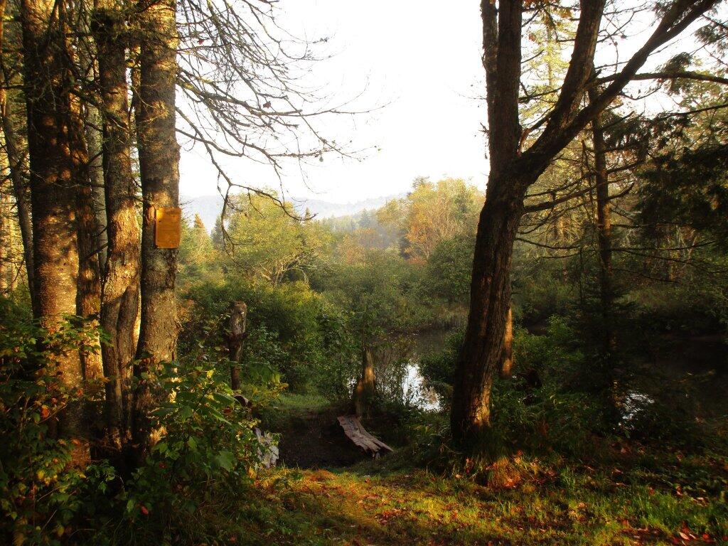 Photo: Autumn Colors Hinting