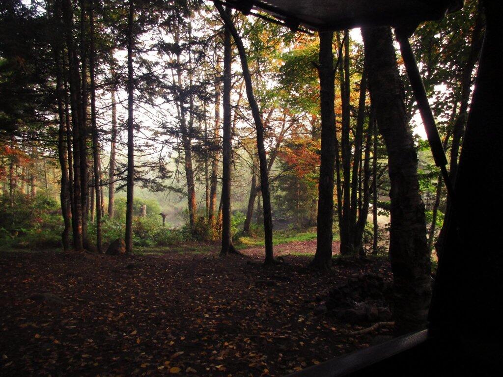 Photo: Looking Out My Back Door Photo: Looking Out My Back Door
