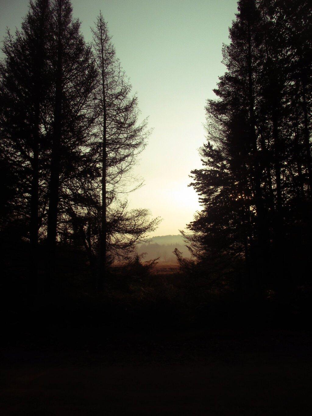 Photo: Morning Light