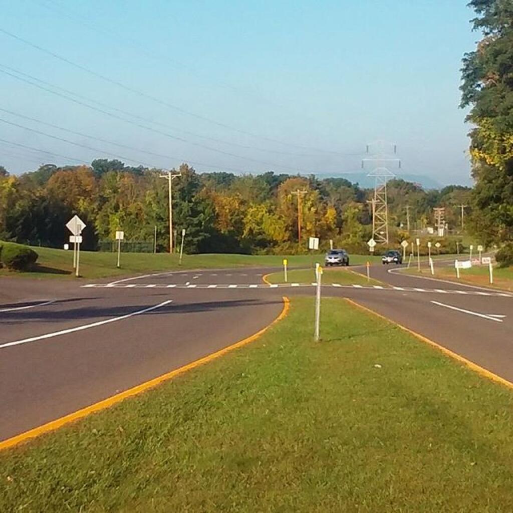 Photo: Some color in the traffic island