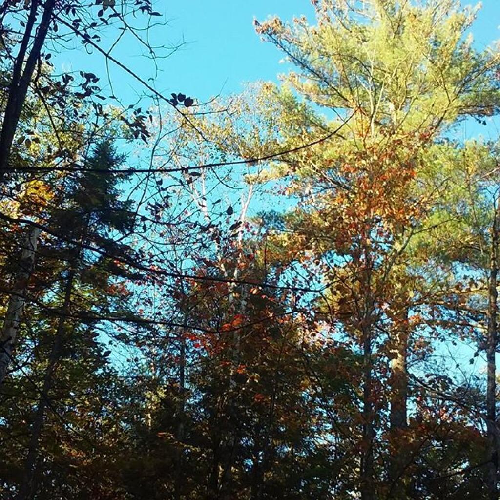 Photo: Nice morning Photo: Nice morning
