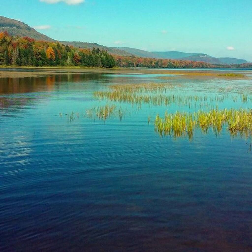 Photo: Sturges Hills