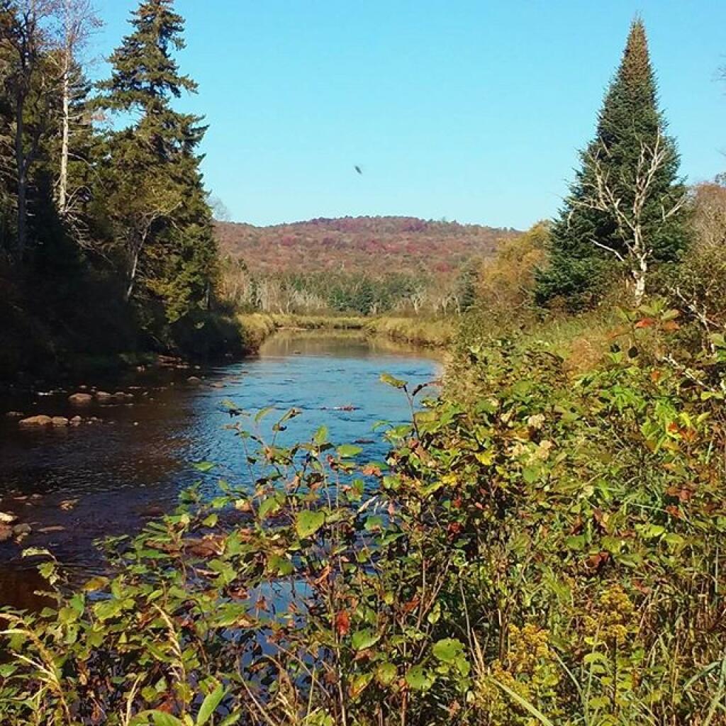 Photo: Moose River is a short walk from the campsite