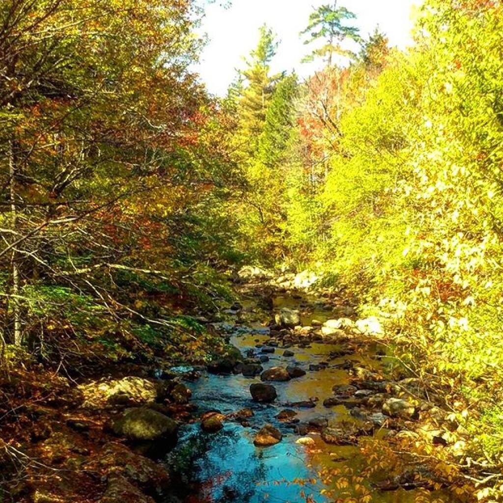 Photo: Otter Brook Photo: Otter Brook