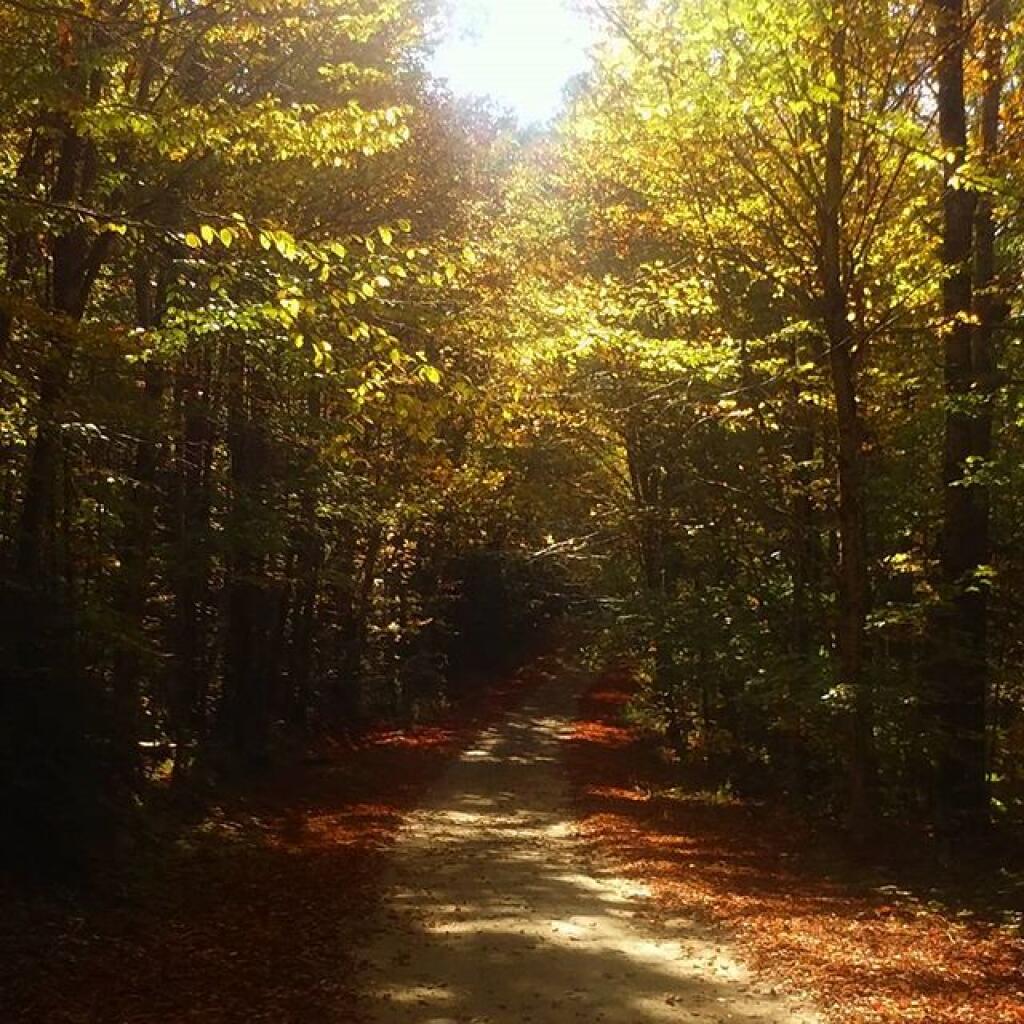 Photo: Indian Lake Road