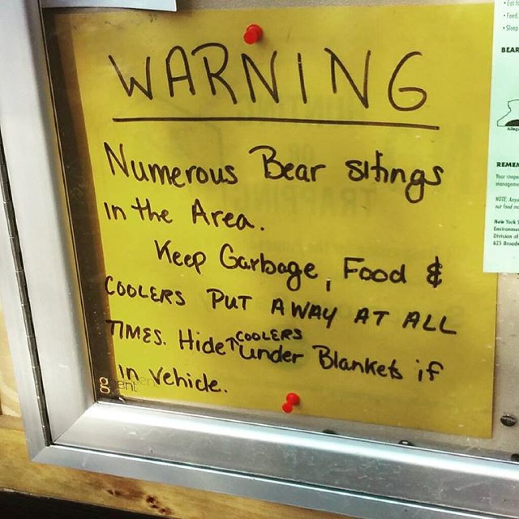 Photo: I've never seen bears up here, but I guess there around
