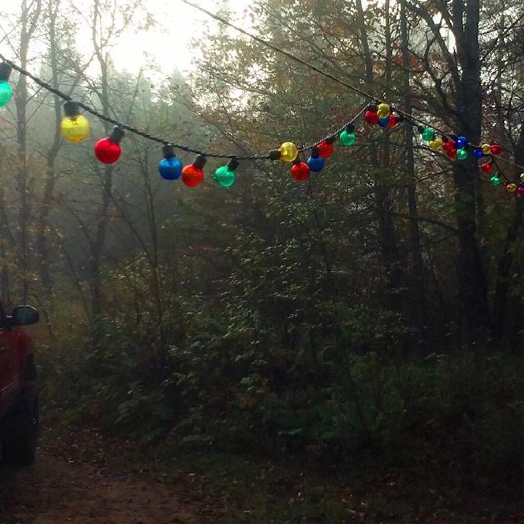 Photo: Lights